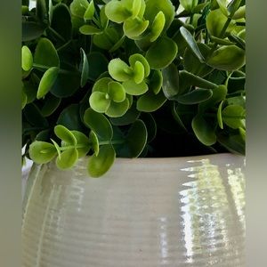 Meet your Posher, Gale